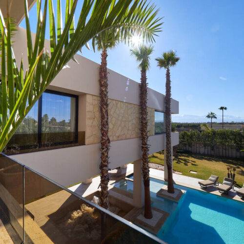 Vue sur les palmiers et la piscine depuis la terrasse