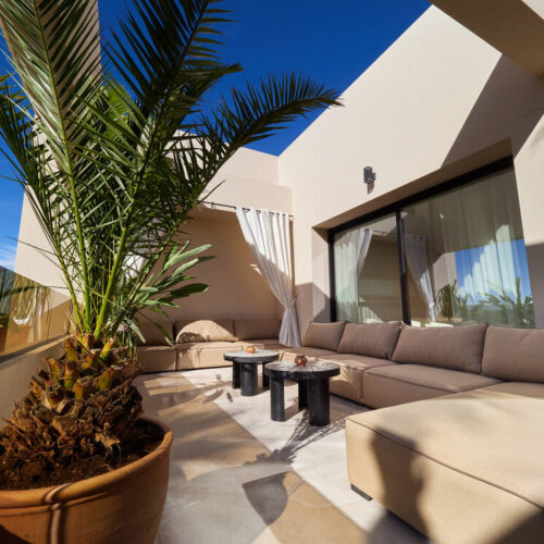 Terrasse avec salon extérieur et palmier