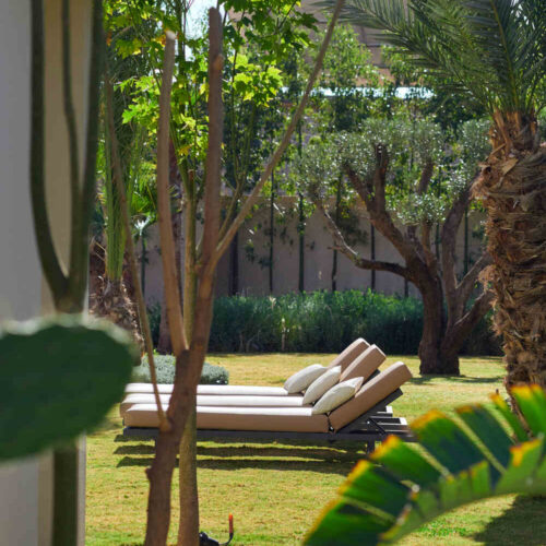 Jardin planté d'oliviers