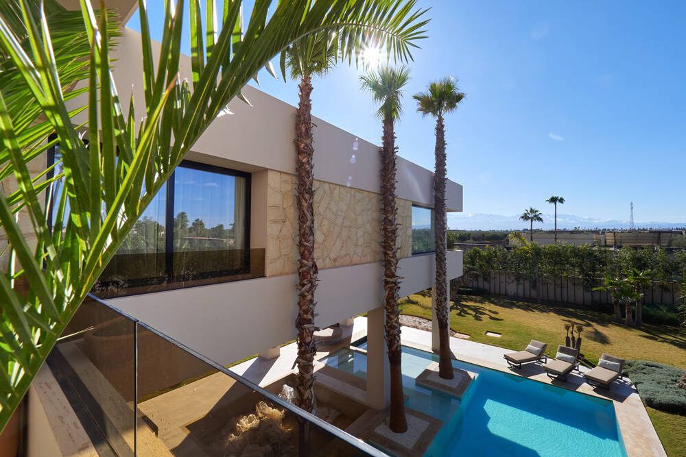Vue sur les palmiers et la piscine depuis la terrasse