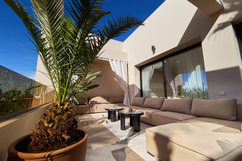 Terrasse avec salon extérieur et palmier